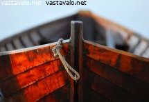 vene-viii