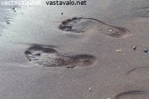jalanjaljet