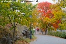 naantali-syysasussa