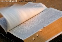 sanoja-ja-sivuja