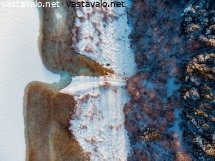 metsainen-merenranta
