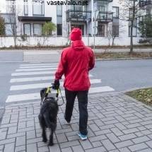 Lesbo musta hihnaIso musta kukko vittuile tiukka valkoinen pillua
