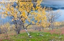 ruskaa-tenon-varrella