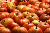 syysomenat
