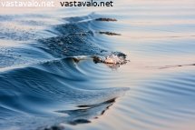 aaltoilua