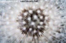 hahtuvapallo