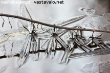 jaakoristeet