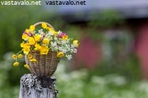 kukkakori-aidantolpalla