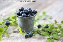 mustikoita