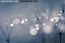 sininen-tunnelma