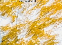 syksyn-vareja
