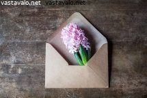 kukkatervehdys