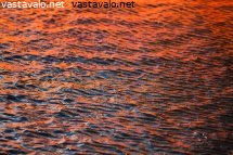 varikasta-vedenpintaa