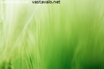 vihreat-vihneet