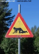 teekkarivaara-pilailumerkki