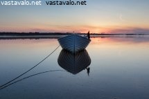 vene-kesayossa