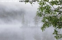 sumuisten-vaarojen-juurella