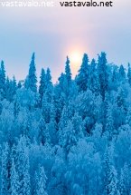 tammikuun-lempeaa-valoa