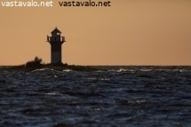 rivinleton-loisto-silhuettina