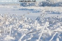talvinen-merenranta