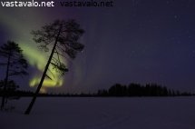 revontulet