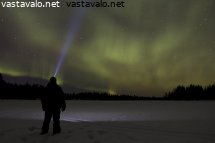 revontulibongari