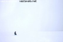yksin