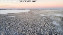 talvinen-metsa