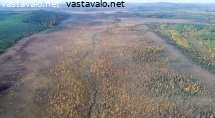 janka