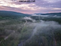 iltausvaa-metsan-paalla