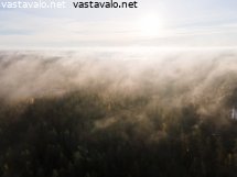 aamun-aurinko