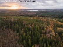 auringonnousu-kirkkonummella-lokakuussa