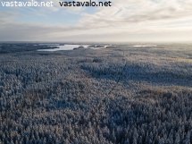 liesjarven-kansallispuistoa