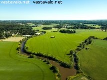 peltomaisema