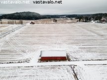 punainen-lato