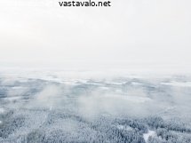 talvimaisema