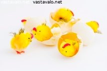 paasiaistiput