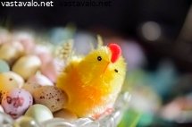 paasiaistipu