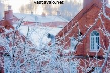 tehdassaari