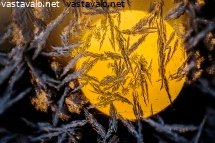 aamun-aurinko
