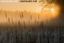 utuinen-maisema