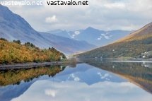 vuononpera
