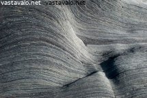 kolonen
