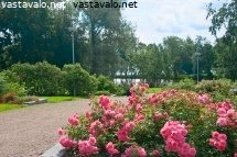 ruusujen-maisema