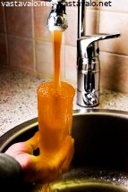 norovirus-kambylo-cocktail