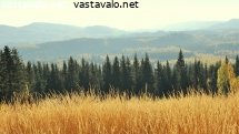 kolin-vaaramaisemat-syyskuussa