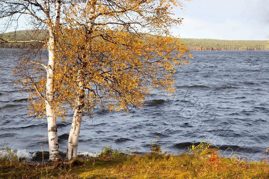 kuva-syksy-tullut-keimi-niemelle-jerisj-rvi-jerisj-rven-j-rvi