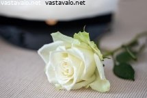 ruusu-ylioppilaalle