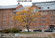 syksyinen-paiva-jokirannassa