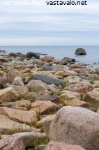 vastarantaa-ei-nay